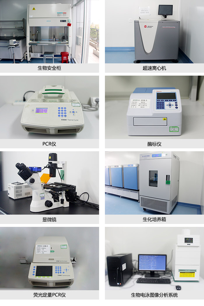 未标题-1.jpg 未标题-1.jpg